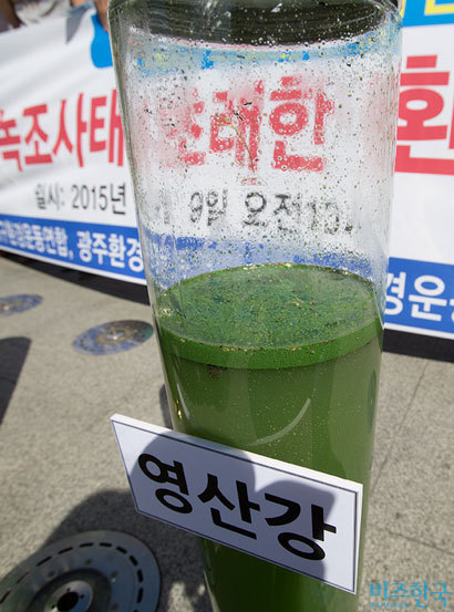 2015년 9월 9일 서울 광화문광장에서 ​환경운동연합 회원들이 ​녹조 가득한 4대강 강물을 보여주며 환경부 규탄 기자회견을 열었다. 사진=비즈한국DB
