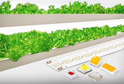 삼성전자 식물 생장용 LED 패키지와 모듈. 사진=삼성전자