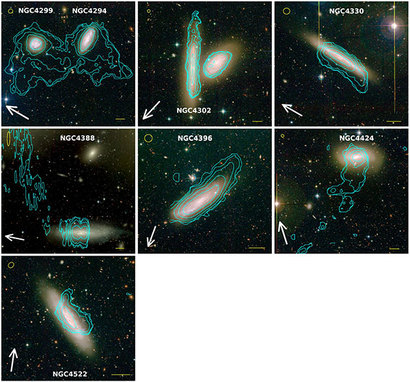 다양한 은하들의 별과 가스 물질의 분포를 비교해보면 램 압력 스트리핑을 크게 겪은 은하들은 두 분포가 크게 어긋나있는 것을 알 수 있다. 사진에서 녹색 선으로 나타난 것이 중성 수소 가스의 분포다.[5]