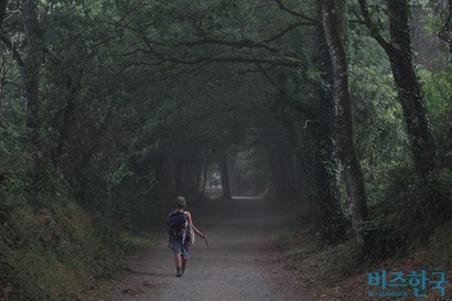 숲길을 혼자 걷는 이탈리아 소녀 아나리사. 그녀는 관광객이 늘어나는 사리아 마을을 지난 뒤 불만을 터뜨렸다. 사진=박현광 기자