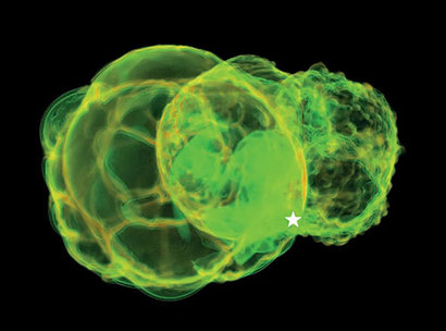 200만 년 전 지구에 철 60을 남겼던 초신성 폭발이 일으킨 로컬 버블의 모습을 구현한 시뮬레이션 장면, 별 표시는 태양계의 위치를 나타낸다. 이미지=https://www.nature.com/articles/532040a