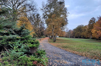 빌리 브란트 전 총리의 묘가 위치한 베를린 외곽 젤렌도르프 지역의 숲 공원묘지. 묘지라기 보다는 그저 하나의 울창한 숲이다.​  사진=박진영 제공