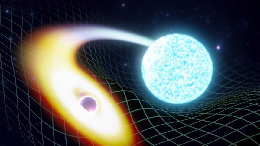 블랙홀이 중성자별을 집어삼키는 장면을 그린 그림. 이미지=LIGO