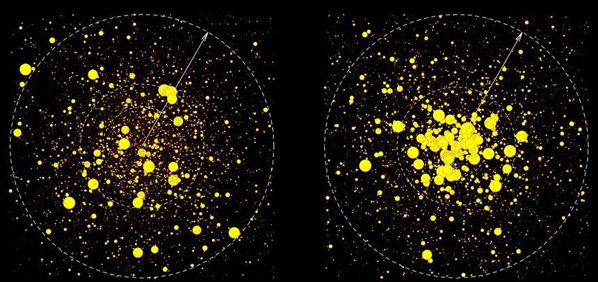 구상성단 속 별들의 질량 분화 과정을 보여주는 시뮬레이션 결과. 왼쪽의 상태에서 200만 년이 지나면 오른쪽의 모습이 된다. 구상성단 속 별들 사이의 중력 상호작용에 의해 점차 무거운 별은 성단 중심에 가라앉는다. 반면 가벼운 별들은 성단 외곽으로 쫓겨난다. 이런 질량 분화 과정을 겪으면서 성단 내 별들의 분포는 확연하게 달라진다. 사진=Marc Freitag
