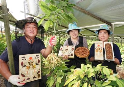 인삼 재배 농가의 농부들이 풍기 인삼을 활용한 파리바게뜨 제품을 소개하는 모습. 사진=SPC그룹 제공