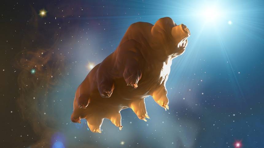 우주에 가게 된 물곰은 어떤 여행을 할 수 있을까? 이미지=Denis Art