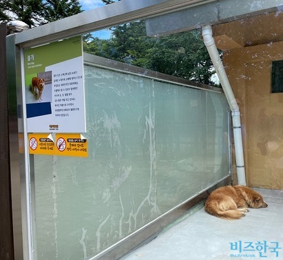서울대공원 동물원에 있는 불개. 사진=전다현 기자