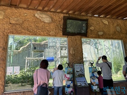 서울대공원 침팬지 우리. 광복이와 관순이는 이 우리에서 합사에 실패해 다른 공간에서 지내고 있다. 사진=전다현 기자