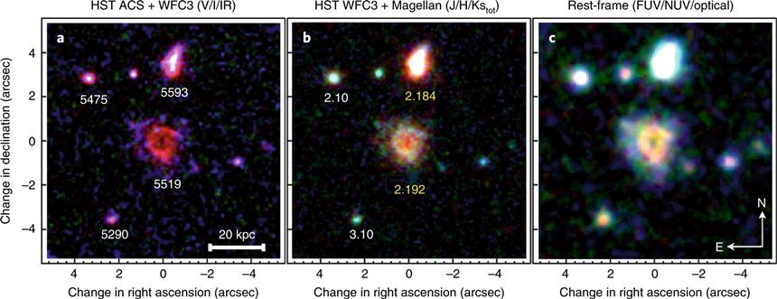 아주 먼 초기 우주에서 발견된 고리 형태의 은하 R5519.