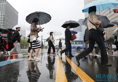 환경부가 일회용 우산비닐을 규제한 지 반년이 지났지만, 일회용 우산비닐 사용이 줄지 않았다는 목소리가 나온다. 전문가들은 환경부 정책 실효성에 의문을 제기한다. 사진=박정훈 기자