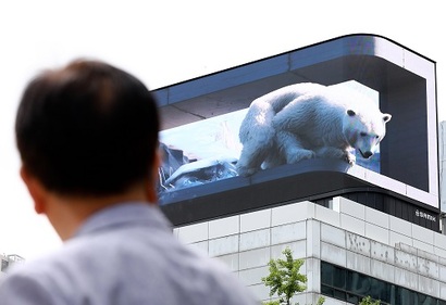 지난해 6월 서울 중구 시청역 인근 전광판에 송출된 북극곰 미디어아트. 기후위기의 심각성을 알리기 위해 HS애드와 국제 비영리 자연보전기관인 세계자연기금(WWF)이 함께 제작했다. 사진=박정훈 기자