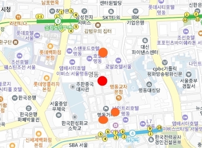 김소희 전 대표의 명동 상가 매입은 이번(빨간색)이 네 번째다. 김 전 대표가 보유한 상가 위치도. 사진=카카오맵