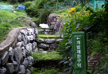 정부가 급등하는 서울 집값을 잡기 위해 수도권 그린벨트를 풀어 총 8만 가구를 공급할 수 있는 신규 택지 후보지를 오는 11월부터 발표한다. 사진은 서울 서초구 내곡동 개발제한구역 일대. 사진=연합뉴스