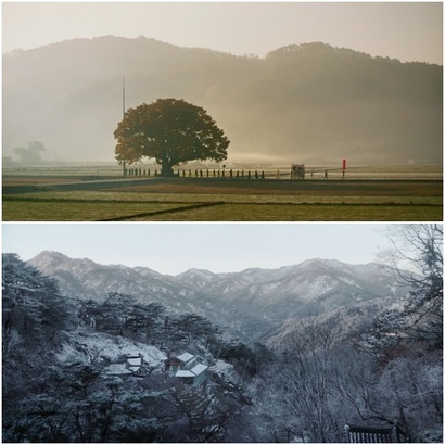 드라마틱한 이야기는 아닐지라도 찬찬히 깊게 들여다보면 어느 가족이나 그들의 깊은 이야기가 존재한다. 영화가 담아낸 풍광 역시 마찬가지. 압도적인 아름다움은 아닐지라도 가족처럼 편안하고 그윽한 한국의 풍광이 계절을 타고 아름다운 미장센으로 담긴다. 사진=인디스토리 제공