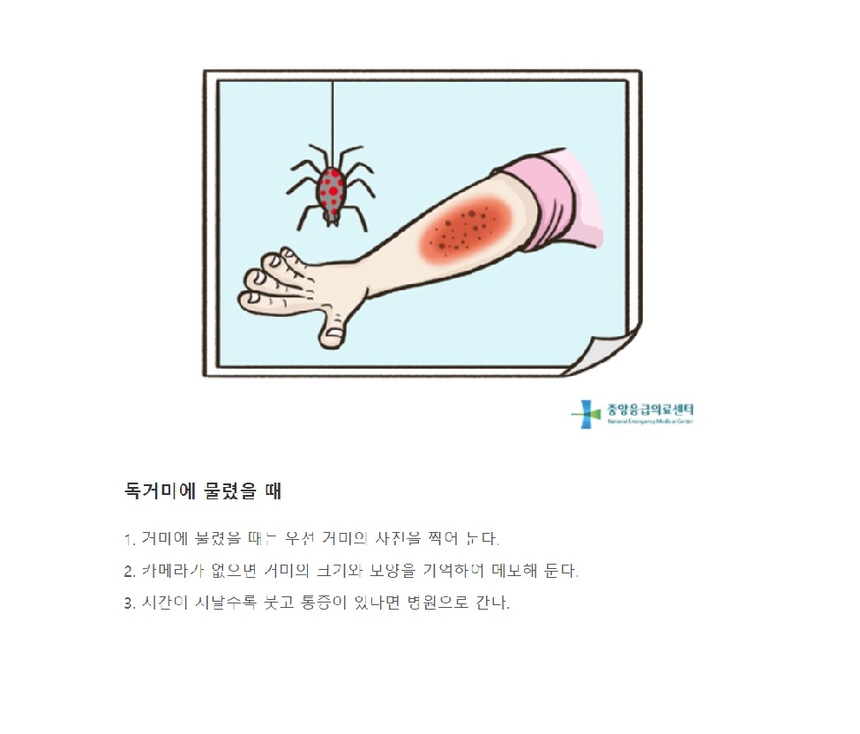 응급의료포털 E-Gen에서는 동물이나 곤충 등에 물렸을 때의 응급처치방법을 사진과 함께 확인할 수 있다. 사진=응급의료포털 E-Gen