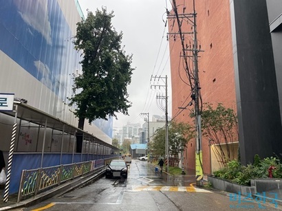 서울 성수동의 도로. 한국자산관리공사와의 소송에서 패소한 성동구는 이 도로의 사용료를 매년 자산관리공사에 지급하고 있다. 사진=전다현 기자