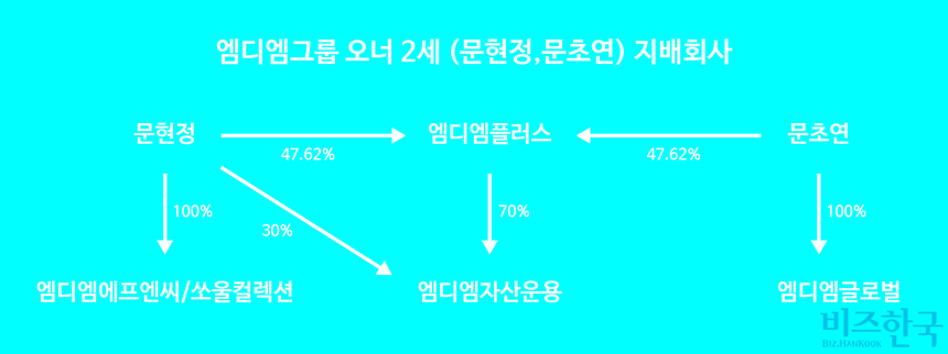 MDM그룹 오너 2세가 지배하는 개인회사의 지분 관계. 그래픽=김상연 기자